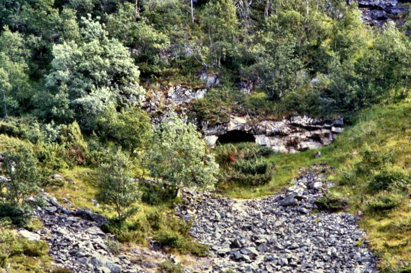 Bakaromnen - grotte på Sandnes - Bjørnskinn s.