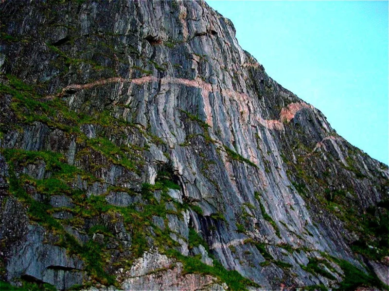 Korset i Børra - Bjørnskinn s. Foto Elidh Brown.
